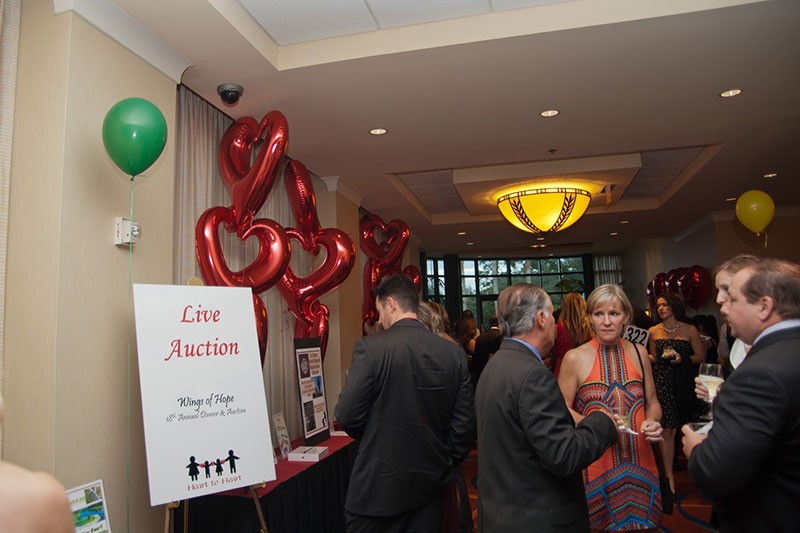 49_Wings_Of_Hope_2013_2